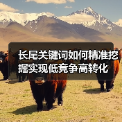 长尾关键词如何精准挖掘实现低竞争高转化(图2) 长尾关键词如何精准挖掘实现低竞争高转化(图2)