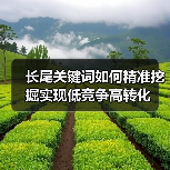 长尾关键词如何精准挖掘实现低竞争高转化(图4) 长尾关键词如何精准挖掘实现低竞争高转化(图4)