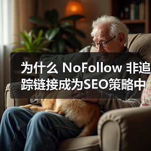为什么 NoFollow 非追踪链接成为SEO策略中的隐藏神器?(图1) 为什么 NoFollow 非追踪链接成为SEO策略中的隐藏神器?(图1)