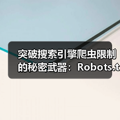 突破搜索引擎爬虫限制的秘密武器:Robots.txt爬虫协议全面解析(图2) 突破搜索引擎爬虫限制的秘密武器:Robots.txt爬虫协议全面解析(图2)