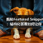 揭秘Featured Snippet:结构化答案如何让你登顶零位排名(图3) 揭秘Featured Snippet:结构化答案如何让你登顶零位排名(图3)