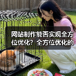 网站制作能否实现全方位优化？全方位优化的关键要素解析（图4）