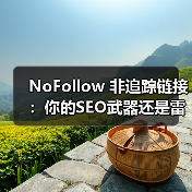 NoFollow 非追踪链接:你的SEO武器还是雷区?(图4) NoFollow 非追踪链接:你的SEO武器还是雷区?(图4)