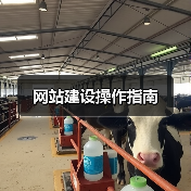 网站建设操作指南（图3）