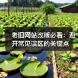 老旧网站改版必看：避开常见误区的关键点（图4）