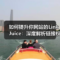 如何提升你网站的Link Juice：深度解析链接权重与排名影响因素（图3）