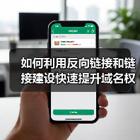 如何利用反向链接和链接建设快速提升域名权重(图1) 如何利用反向链接和链接建设快速提升域名权重(图1)