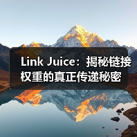 Link Juice：揭秘链接权重的真正传递秘密（图4）
