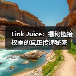 Link Juice：揭秘链接权重的真正传递秘密（图2）