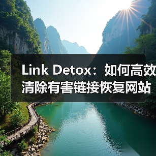 Link Detox:如何高效清除有害链接恢复网站健康(图2) Link Detox:如何高效清除有害链接恢复网站健康(图2)