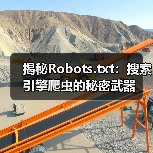 揭秘Robots.txt:搜索引擎爬虫的秘密武器(图2) 揭秘Robots.txt:搜索引擎爬虫的秘密武器(图2)