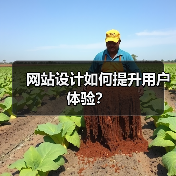 网站设计如何提升用户体验?(图4) 网站设计如何提升用户体验?(图4)