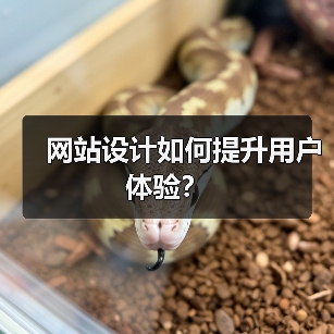 网站设计如何提升用户体验?(图3) 网站设计如何提升用户体验?(图3)