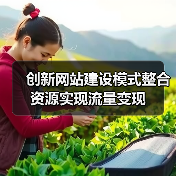 创新网站建设模式整合资源实现流量变现(图4) 创新网站建设模式整合资源实现流量变现(图4)