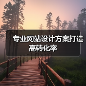专业网站设计方案打造高转化率(图2) 专业网站设计方案打造高转化率(图2)