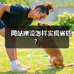 网站建设怎样实现省钱?(图2) 网站建设怎样实现省钱?(图2)