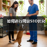 如何进行网站SEO优化?(图4) 如何进行网站SEO优化?(图4)