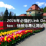2026年必懂的Link Detox:链接排毒让网站焕发新生(图2) 2026年必懂的Link Detox:链接排毒让网站焕发新生(图2)