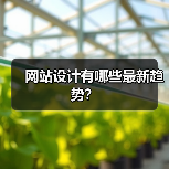 网站设计有哪些最新趋势?(图2) 网站设计有哪些最新趋势?(图2)