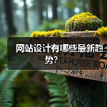 网站设计有哪些最新趋势?(图3) 网站设计有哪些最新趋势?(图3)