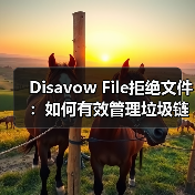 Disavow File拒绝文件:如何有效管理垃圾链接提升搜索排名(图3) Disavow File拒绝文件:如何有效管理垃圾链接提升搜索排名(图3)