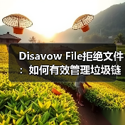 Disavow File拒绝文件:如何有效管理垃圾链接提升搜索排名(图2) Disavow File拒绝文件:如何有效管理垃圾链接提升搜索排名(图2)