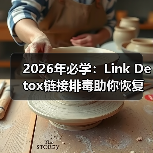 2026年必学:Link Detox链接排毒助你恢复网站健康密码(图3) 2026年必学:Link Detox链接排毒助你恢复网站健康密码(图3)