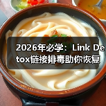 2026年必学:Link Detox链接排毒助你恢复网站健康密码(图4) 2026年必学:Link Detox链接排毒助你恢复网站健康密码(图4)
