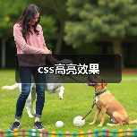 css高亮效果(图1) css高亮效果(图1)