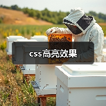 css高亮效果(图4) css高亮效果(图4)