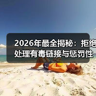 2026年最全揭秘:拒绝处理有毒链接与惩罚性外链的实操策略(图3) 2026年最全揭秘:拒绝处理有毒链接与惩罚性外链的实操策略(图3)