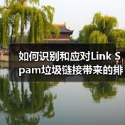 如何识别和应对Link Spam垃圾链接带来的排名危害(图4) 如何识别和应对Link Spam垃圾链接带来的排名危害(图4)