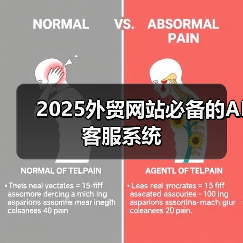2025外贸网站必备的AI客服系统(图2) 2025外贸网站必备的AI客服系统(图2)
