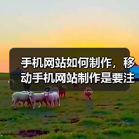 手机网站如何制作,移动手机网站制作是要注意哪些问题?(图4) 手机网站如何制作,移动手机网站制作是要注意哪些问题?(图4)