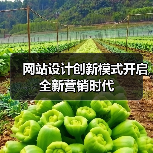 网站设计创新模式开启全新营销时代(图1) 网站设计创新模式开启全新营销时代(图1)