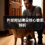 外贸网站建设核心要素解析(图4) 外贸网站建设核心要素解析(图4)
