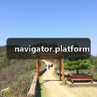 navigator.platform(图2) navigator.platform(图2)