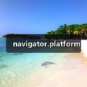 navigator.platform(图3) navigator.platform(图3)