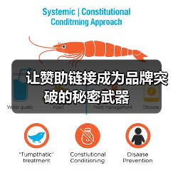 让赞助链接成为品牌突破的秘密武器(图4) 让赞助链接成为品牌突破的秘密武器(图4)