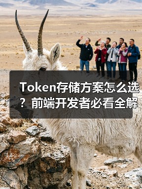 Token存储方案怎么选?前端开发者必看全解析(图1) Token存储方案怎么选?前端开发者必看全解析(图1)