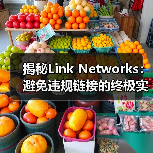 揭秘Link Networks:避免违规链接的终极实战指南(图4) 揭秘Link Networks:避免违规链接的终极实战指南(图4)