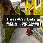 Three-Way Links 三角链接：探索连接网络的隐藏奥秘（图4）
