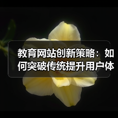 教育网站创新策略：如何突破传统提升用户体验？（图4）