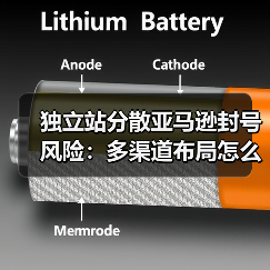 独立站分散亚马逊封号风险:多渠道布局怎么选?(图2) 独立站分散亚马逊封号风险:多渠道布局怎么选?(图2)