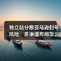 独立站分散亚马逊封号风险:多渠道布局怎么选?(图4) 独立站分散亚马逊封号风险:多渠道布局怎么选?(图4)