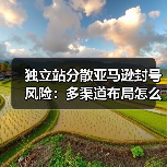 独立站分散亚马逊封号风险:多渠道布局怎么选?(图3) 独立站分散亚马逊封号风险:多渠道布局怎么选?(图3)