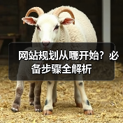 网站规划从哪开始?必备步骤全解析(图1) 网站规划从哪开始?必备步骤全解析(图1)