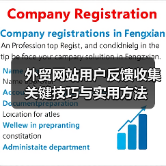 外贸网站用户反馈收集关键技巧与实用方法(图2) 外贸网站用户反馈收集关键技巧与实用方法(图2)