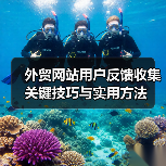 外贸网站用户反馈收集关键技巧与实用方法(图4) 外贸网站用户反馈收集关键技巧与实用方法(图4)