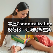 掌握Canonicalization规范化：让网站权重集中无死角（图3）
